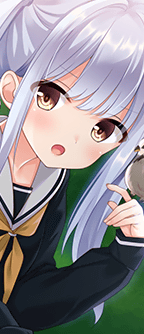 CD_501517_at.png