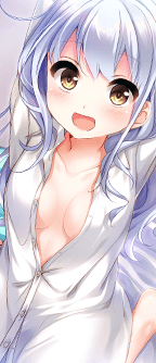 CD_3217_st.png