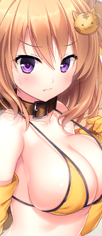 CD_501931_st.png
