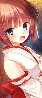 CD_4604_st.png