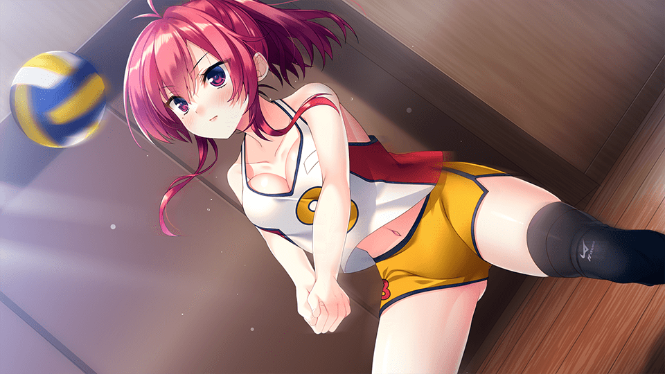 980d837f3bb72207194a64ce51d0056525934161.png