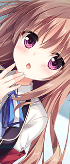 CD_503101_st.png