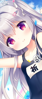 CD_4153_st.png