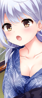 CD_4217_st.png