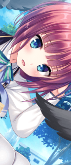 CD_503204_st.png