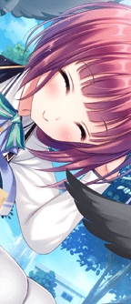 CD_503204_wn.png