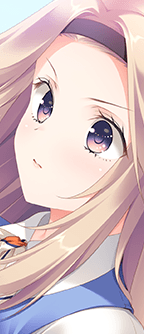 CD_401109_st.png
