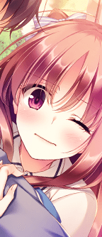 CD_502401_dm.png