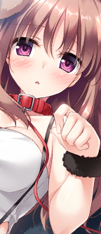 CD_5601_st.png