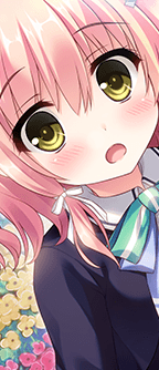 CD_5219_st.png