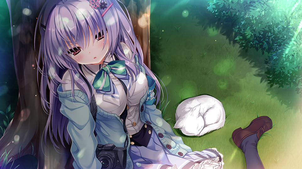 91b58a0e2f797969fe0c73b97188c549895e0bed_0.png