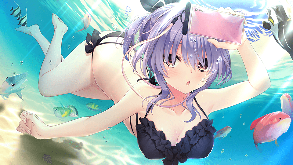 cc84d560f632081b6b313d4d4f5eaa9bba9304b0.png